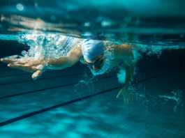 Overcoming a phobia, learning to breathe thanks to swimming and the power of mating seals