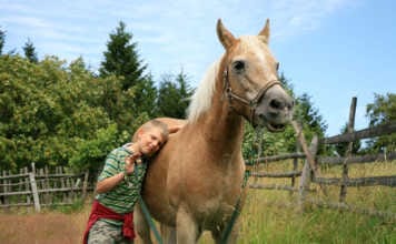 Equine Therapy: How horses help people find answers within